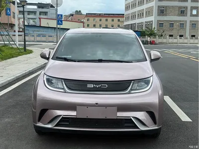 2024 BYD Dolphin Glory Edition 420km Freedom Edition, фото 2, лот 10256678