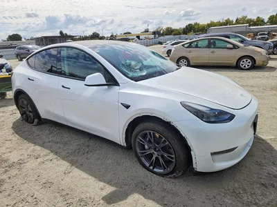 2024 TESLA MODEL Y, фото 4, лот 10855841