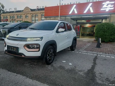 2023 Dongfeng Yipai Dongfeng Nano EX1 PRO Light Breeze Lightning, фото 1, лот 10271803