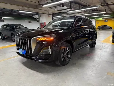 2025 Hongqi HS5 2.0T 2WD 600,000 Units Commemorative Edition, фото 1, лот 10816717