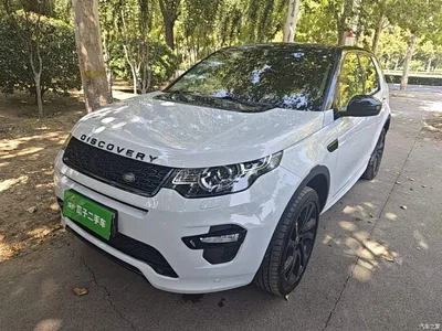 2019 Land Rover Discovery Sport 240PS SE Dynamic Edition China V, фото 1, лот 10478708