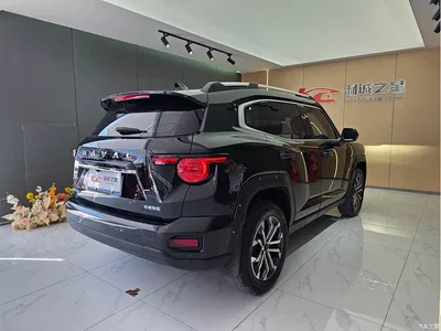2023 Haval Da Gou 2nd Gen 2.0T 2WD Trendy Off-road Edition Plus, фото 4, лот 10297615