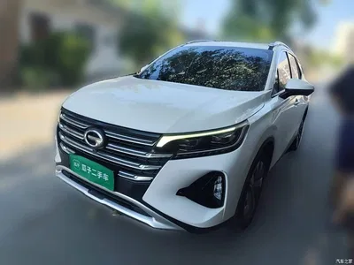 2020 GAC Trumpchi Trumpchi GS4 270T Automatic Smart Connect Tech Version, фото 1, лот 10605293