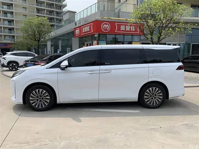 2025 BYD M9 Model 1060 Pilot Edition, фото 3, лот 11146226