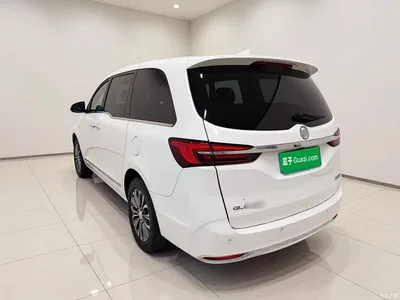2021 Buick GL8 Land Business Class 652T Luxury, фото 4, лот 10386304