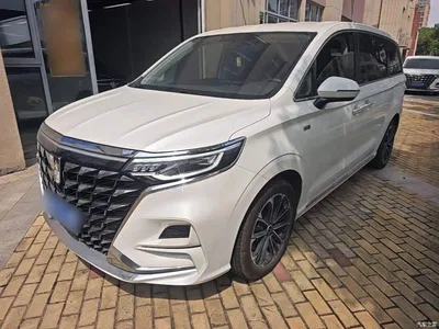 2023 Roewe iMAX8 400TGI Comfort Edition, фото 2, лот 11012435