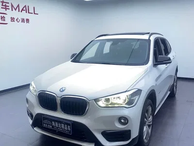 2018 BMW X1 xDrive20Li Luxury Model, фото 1, лот 11315059