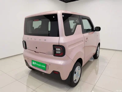 2024 Geely Galaxy Panda mini 200km Endurance Bear, фото 4, лот 10389621