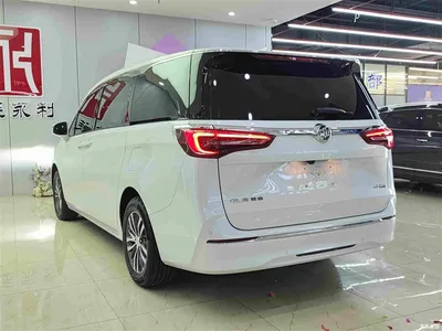 2023 Buick GL8 ES Landmaster Comfort, фото 4, лот 10252013