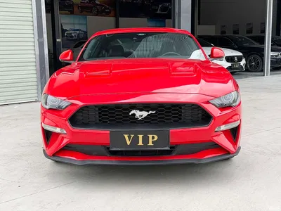 2021 Ford Mustang 2.3T EcoBoost, фото 2, лот 10280430