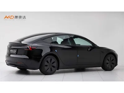 2023 Tesla Model 3 Rear-Wheel Drive, фото 3, лот 11496903