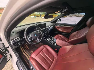2019 BMW 5 Series Facelift 530Li Leading M Sport Package, фото 4, лот 10675523