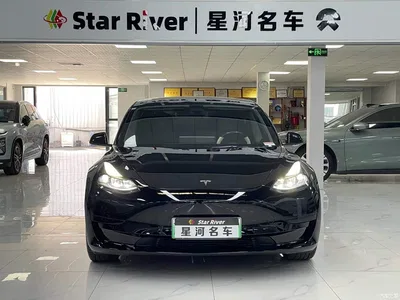 2021 Tesla Model 3 Standard Range Rear-Wheel Drive Upgrade, фото 2, лот 10362873