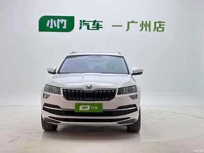 2023 Škoda Karoq TSI280 Luxury Edition, фото 2, лот 10766685