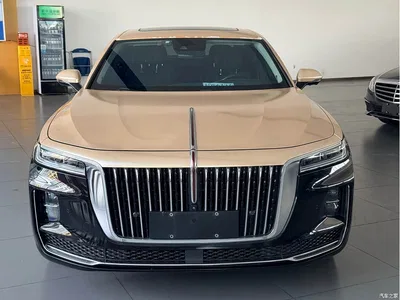 2020 Hongqi H9 3.0T Smart Connection Qi Chang Edition, фото 2, лот 10434593