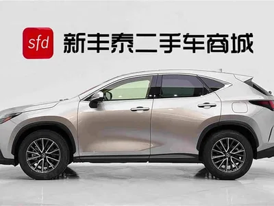 2022 Lexus NX 260 FWD Joy Creation Edition, фото 4, лот 10312295