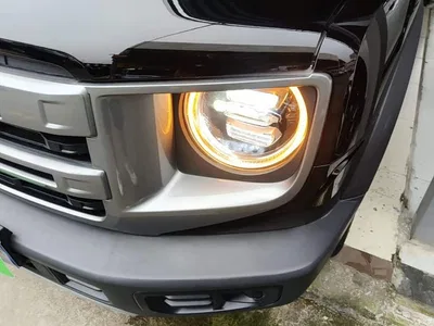 2024 Haval Big Dog Model 1.5T DCT Labrador Edition, фото 3, лот 10361467