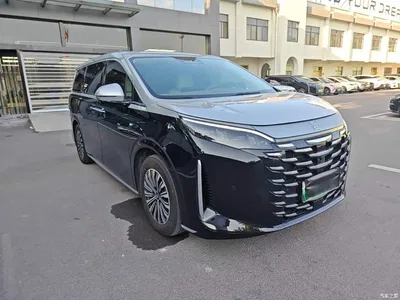 2025 BYD Xia DM-i 1.5T 180km Surpass Edition, фото 4, лот 10271387