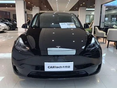 2023 Tesla Model Y Rear-Wheel Drive Edition, фото 2, лот 11199048