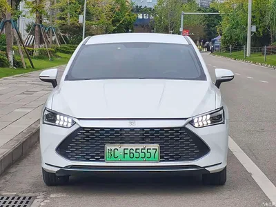 2023 BYD Qin PLUS Champion Edition DM-i 55KM Leading, фото 2, лот 11002869