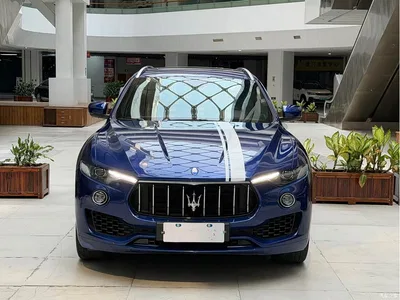2016 Maserati Levante 3.0T Standard, фото 2, лот 10321376
