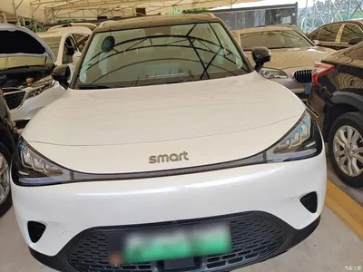2024 smart Elf #1 Agile Long Range Edition, фото 3, лот 10605722