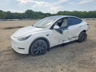 2025 TESLA MODEL Y, фото 1, лот 10852753