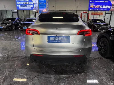 2022 Tesla Model Y Rear-Wheel Drive Version, фото 3, лот 11437385
