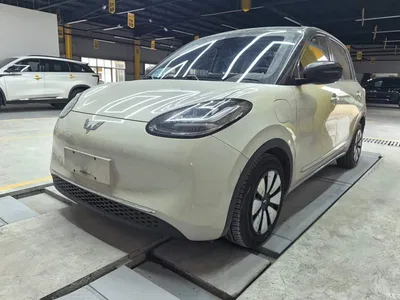 2023 Wuling Motors Wuling Bingo 410km Lingxi Premium Edition, фото 2, лот 10370906