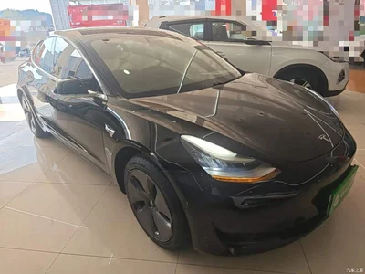 2020 Tesla Model 3 Standard Range Rear-Wheel Drive Upgrade, фото 4, лот 10389038