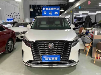2023 Buick GL8 ES Landmaster Comfort, фото 3, лот 10252553