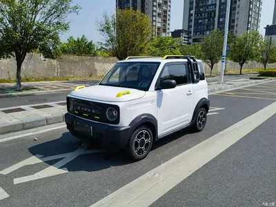 2025 Geely Galaxy Panda Model Year 210km Panda Knight, фото 1, лот 10889016
