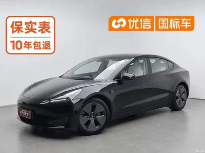 2022 Tesla Model 3 Model Rear-Wheel Drive Version, фото 1, лот 10369121