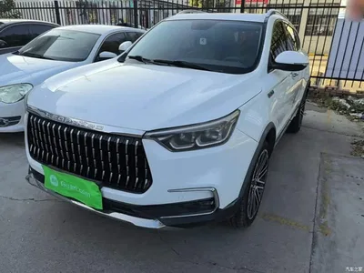 2018 Leopaard Mattu 1.6T GDI DCT Premium Edition, фото 2, лот 11646037
