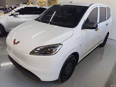 2024 Wuling Motors Wuling Hongguang New Energy Pure Electric 300KM Standard, фото 1, лот 11167216