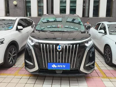 2024 Denza D9 EV 600 AWD Premium, фото 3, лот 10838619