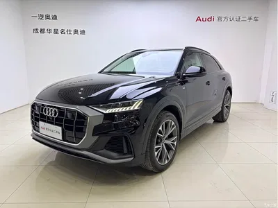 2023 Audi Q8 55 TFSI Luxury Sport, фото 1, лот 10235588