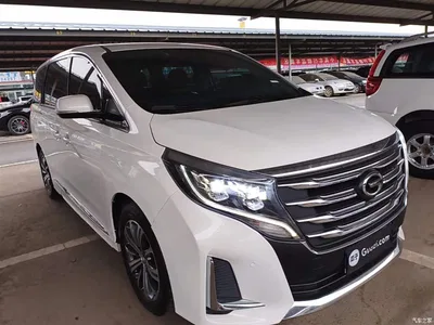 2020 GAC Trumpchi Trumpchi M8 Pilot 390T Prestige Edition, фото 4, лот 10425282