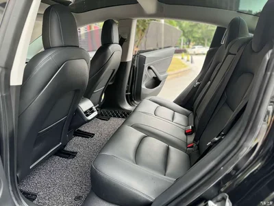 2020 Tesla Model 3 Standard Range Rear-Wheel Drive Upgrade, фото 4, лот 10360102