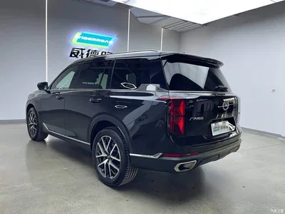 2022 GAC Trumpchi Trumpchi GS8 Pilot Series 2.0TGDI 2WD Luxury Smart Connect Edition (7-Seater), фото 4, лот 10417172