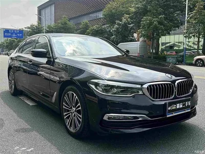 2018 BMW 5 Series 530Li Exclusive Luxury Package, фото 3, лот 10478922