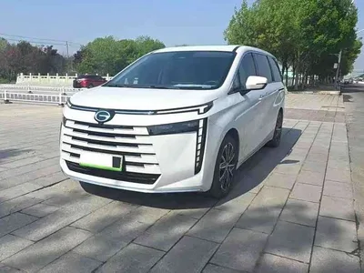 2024 GAC Trumpchi Trumpchi E8 Glory Series 2.0L Glory Edition, фото 1, лот 10403212