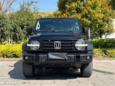 2023 Tank 300 Off-Road Edition 2.0T Conqueror, фото 2, лот 10344669