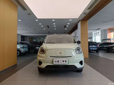 2024 Leapmotor T03 310 Comfort Edition, фото 3, лот 10314761