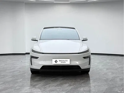 2025 Tesla Model Y Rear-Wheel Drive, фото 4, лот 11074358
