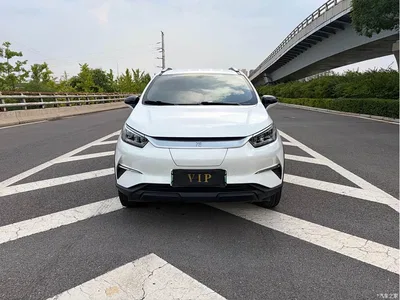 2021 BYD Yuan Pro Lifetime Love Edition, фото 2, лот 11172986