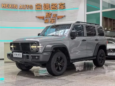 2021 Tank 300 Off-road Version 2.0T Conqueror, фото 1, лот 10450342