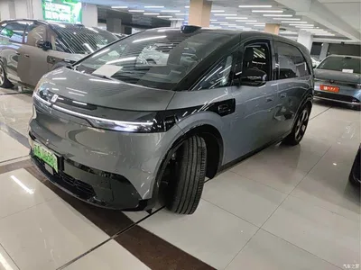 2025 ZEEKR MIX Smart Driving Edition, фото 1, лот 10305558