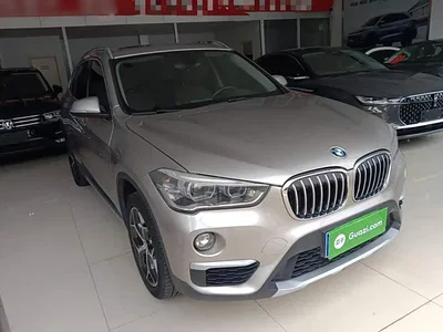 2018 BMW X1 sDrive18Li Premium Model, фото 4, лот 10466993