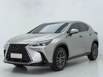 2022 Lexus NX 260 FWD Joy Creation Edition, фото 1, лот 10313297